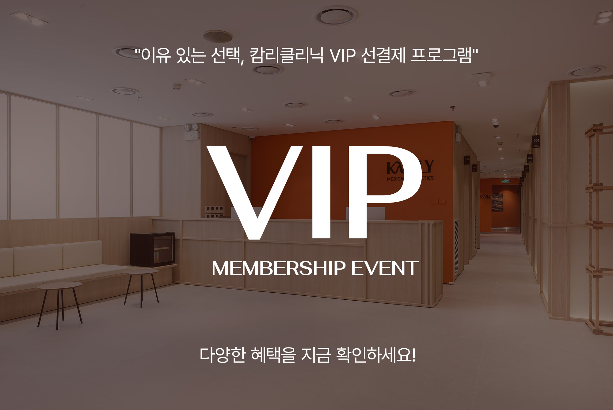 VIP 멤버쉽 프로그램